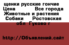 щенки русские гончие › Цена ­ 4 000 - Все города Животные и растения » Собаки   . Ростовская обл.,Гуково г.